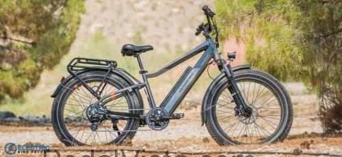 Rad Power Bikes RadRover 6 Plus fiche technique et avis